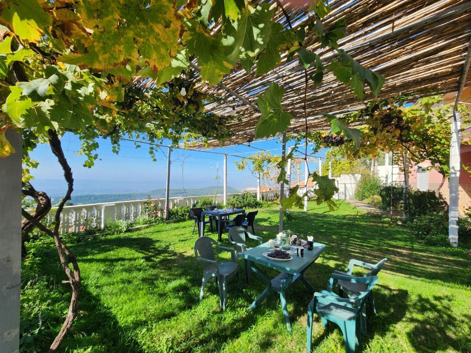 Garden Villa Guni Krujë المظهر الخارجي الصورة